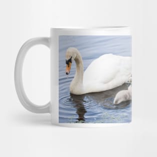 Mother Mute Swan and her Four Cygnets Mug